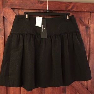 Banana Republic Skater Skirt
